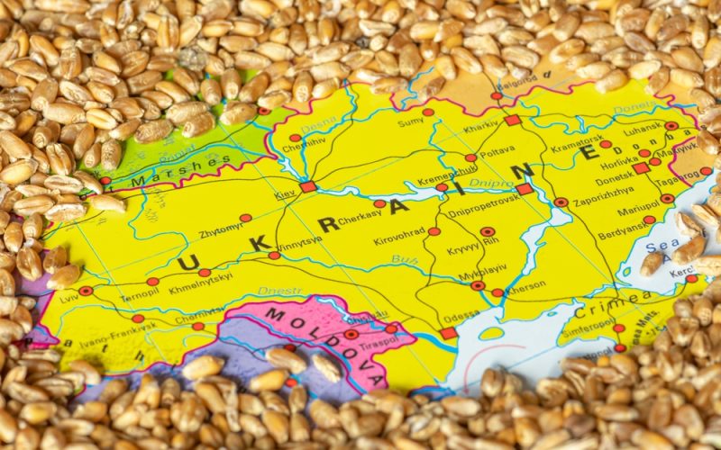 analiza-forbes-romania:-cat-de-mult-a-fost-romania-afectata-de-importurile-de-produse-provenite-din-ucraina,-in-urma-conflictului-militar-ruso-ucrainean