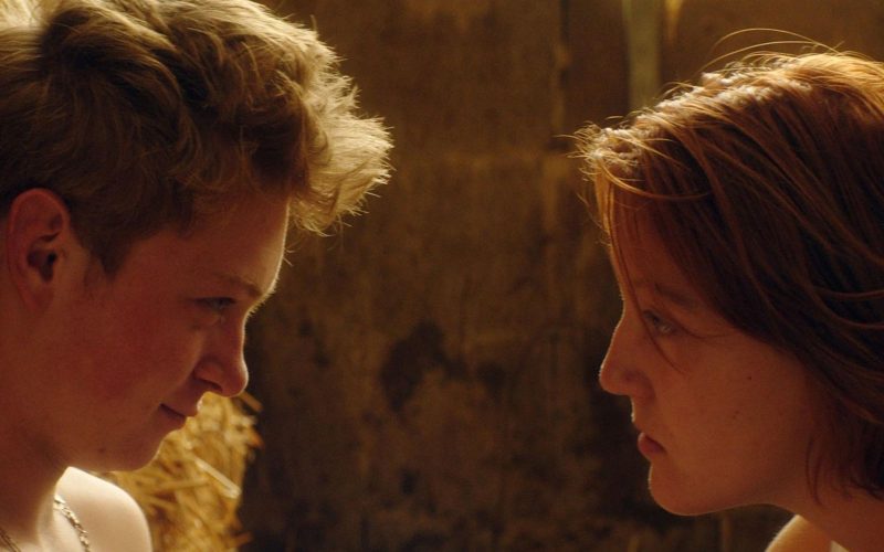 cinema-in-aer-liber-revine-cu-a-doua-saptamana-de-proiectii-pe-insula-artelor-din-bucuresti:-program,-filme-si-tot-ce-trebuie-sa-stii