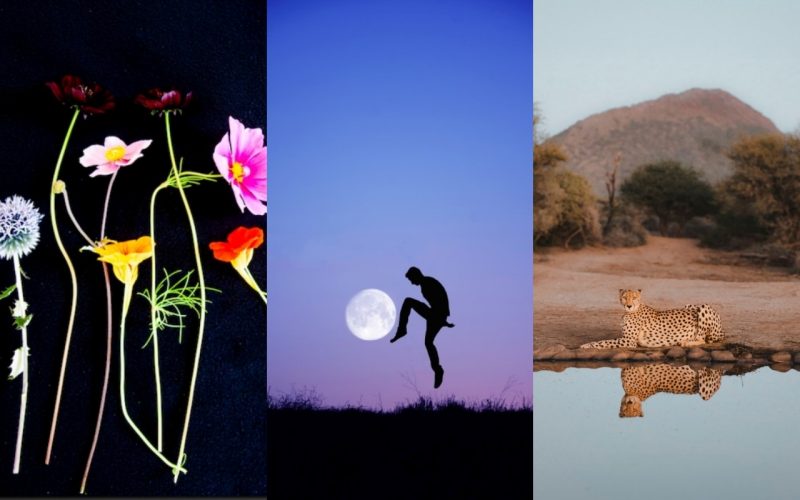 imagini-spectaculoase-premiate-la-1839-photography-awards:-natura,-emotia-si-umanitatea-surprinse-in-detaliu