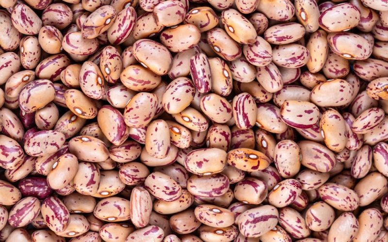 investitorii-cer-marilor-companii-alimentare-si-comerciantilor-cu-amanuntul-sa-isi-diversifice-operatiunile-in-domeniul-proteinelor-pe-baza-de-plante