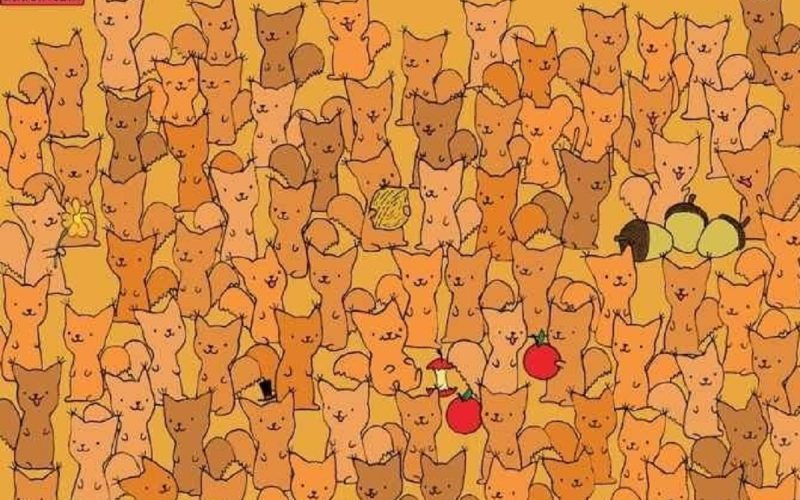 iluzie-optica.-poti-vedea-soricelul-ascuns-printre-veverite-in-30-de-secunde?